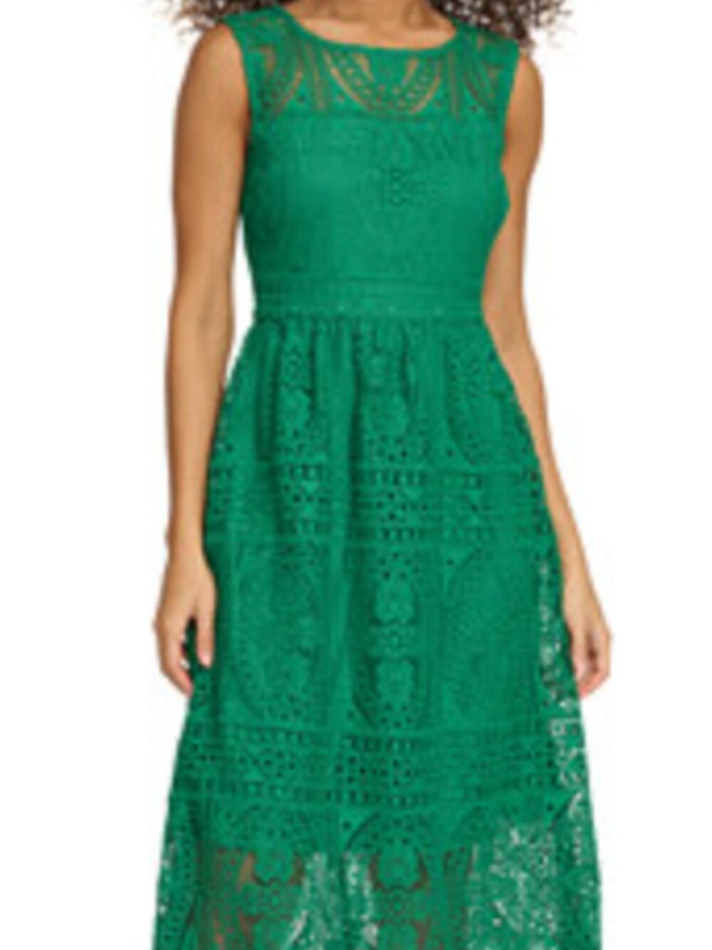 Kensie Sleeveless Floral Lace Fit & Flare Midi Dress